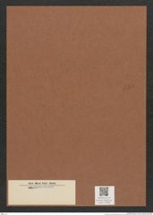 Diatomeae indet. Zeichnungen Sammlung Grunow Mappe 03282 (Herbarium_W_Grunow_drawings_Folder_03282)